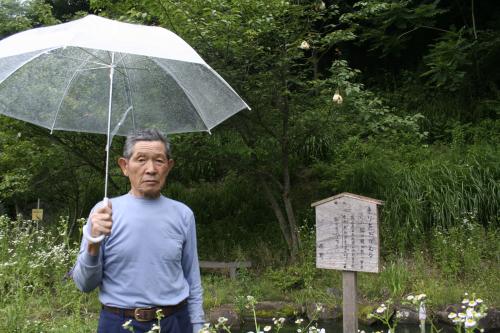 画像をダウンロード おたまじゃくし 水槽 泡