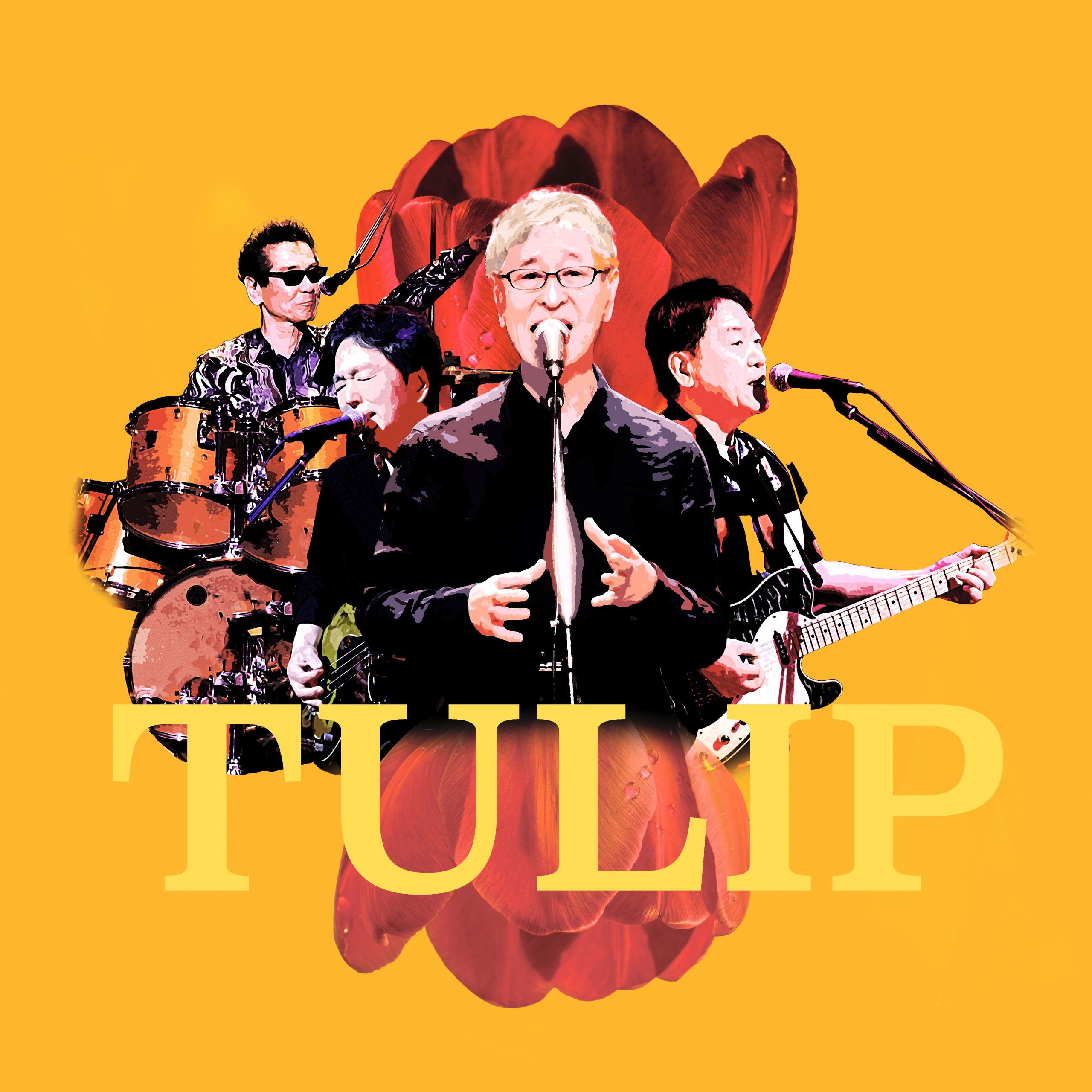 TULIP 50周年記念ツアー コンサートチケット1枚